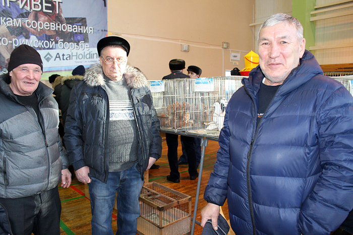 Выставка голубей в п. Красногорский, 9.02.2019г.