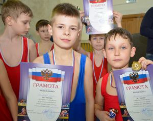 В Красногорском Еманжелинского района впервые за последние годы прошел открытый турнир для юных борцов