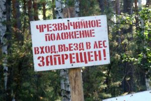 В Челябинской области ограничили въезд и вход в леса