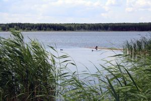 В Челябинской области озера выставили на аукцион