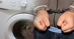 У жительницы Еманжелинска квартирант украл стиральную машину