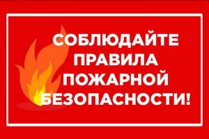 Любителям шашлыков надо помнить, что в Еманжелинском районе действует противопожарный режим