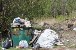 Еманжелинские депутаты потребовали навести порядок в сфере вывоза мусора в Еманжелинске