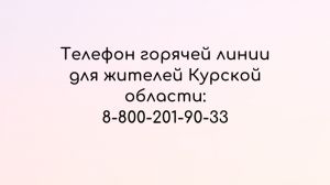 По поручению губернатора Алексея Текслера Челябинская область готова принять 164 человека из Курской области