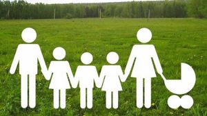 До I квартала 2019 года многодетные семьи Еманжелинского района должны получить бесплатный земельный участок