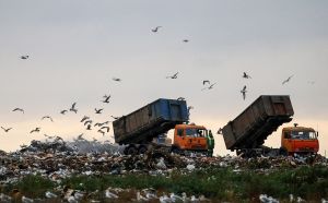 Тариф на вывоз твердых коммунальных отходов на Южном Урале не будет превышать 100 рублей в месяц на одного человека