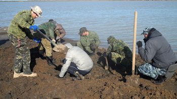 Поисковики сводного отряда Челябинской области отправились в экспедицию в Крым