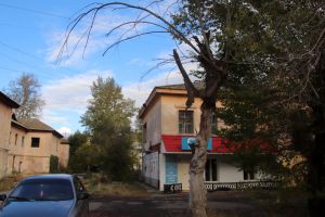 Депутаты Еманжелинска проинспектировали, какие деревья в жилом фонде города аварийные и их нужно спилить, а какие еще можно сохранить