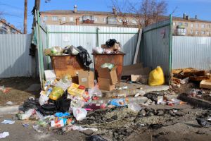 В Еманжелинске копится мусор в контейнерах и на прилегающей территории