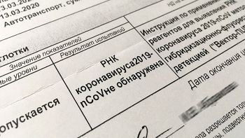 В Челябинской области почти 24 тысячи человек официально имеют коронавирусный диагноз