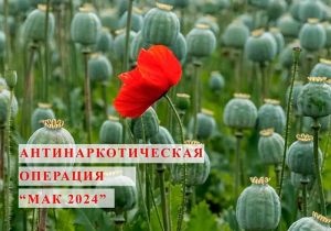 В Еманжелинском районе, как и по всей Челябинской области, стартовал второй этап антинаркотической операции «Мак»