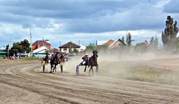 На Южном Урале пройдут конноспортивные соревнования на кубок губернатора
