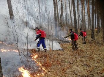 По решению губернатора Алексея Текслера в Челябинской области введен особый противопожарный режим