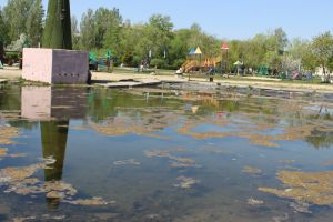 В Еманжелинске построят скейт-площадку для подростков и молодежи, а пруд засыпят