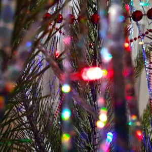 Наряжать елку, встречаться с родными, обмениваться подарками – у каждого второго жителя страны есть желание отмечать Новый год