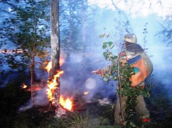 В Челябинской области сложилась пожароопасная обстановка