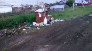 В Еманжелинске мусор из частного сектора не вывозят с начала недели