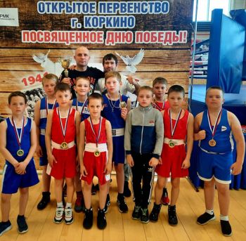 Шесть золотых медалей завоевали еманжелинские спортсмены на боксерском турнире в Коркино