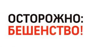 В Челябинской области в 2023 году зафиксировано 32 случая бешенства животных