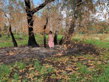 Как защитить лес от пожаров и вандалов, обсуждали в Уйском районе слушатели экошколы для журналистов Южного Урала