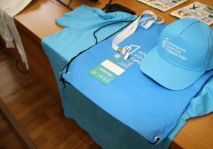 В Челябинской области продолжается набор волонтеров для поддержки голосования за объекты благоустройства на 2023 год