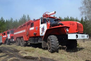 В Челябинской области запретили ходить в лес – объявлен особый противопожарный режим