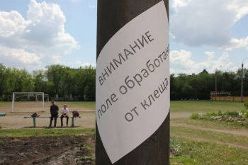 В Еманжелинском районе от укусов клещей пострадали уже 136 человек, в том числе 29 детей