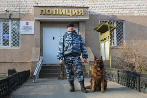 Старшина полиции Сергей Кашигин из Еманжелинска считает, что кинолог – это не столько профессия, сколько призвание