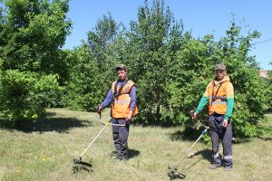 В поселке Красногорском Еманжелинского района приступили к работе газонокосильщики