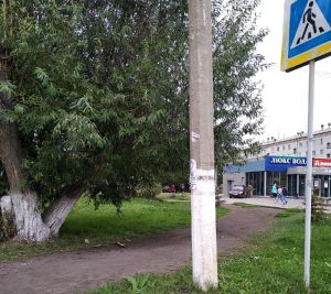 "Козья" тропа, ведущая из сквера к магазину на ул. Ленина