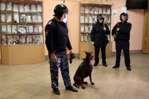 В Еманжелинской школе № 2 прошли всероссийские учения по антитеррористической защищенности образовательных учреждений