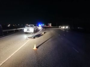 На автодороге Челябинск-Троицк иномарка сбила пешехода