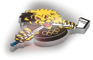 Клуб «Первомайские львы» набирает детей и подростков для занятия хоккеем