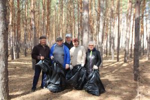 В Еманжелинске в городском бору энтузиасты провели субботник