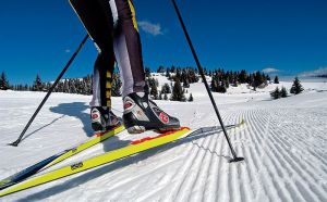 Лыжники 15-й школы забрали три первых места на первенстве Еманжелинского района
