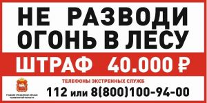 Только за минувшие сутки в Челябинской области ликвидировано 17 лесных пожаров на 272 га