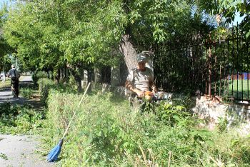 Работники МП «Горкомсервис» озеленяют родной Еманжелинск и наводят чистоту