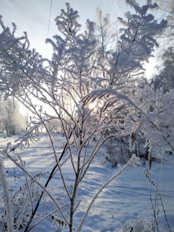 В новогоднюю ночь в Челябинской области ожидается похолодание