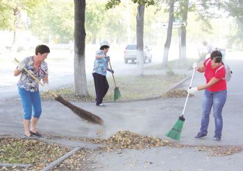 В Еманжелинском районе стартовали осенние субботники