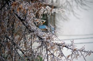 В Челябинской области начался ледяной дождь