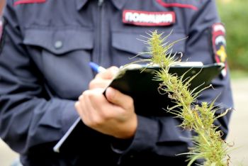 В Еманжелинском районе полиция проводит операцию «Мак-2021»