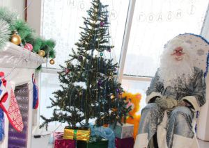 В Еманжелинском районе открылась первая резиденция Деда Мороза
