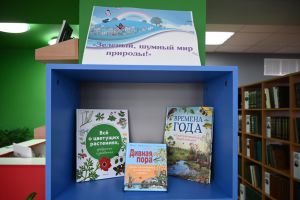 Южноуральские учителя предложили альтернативный список книг на лето для школьников