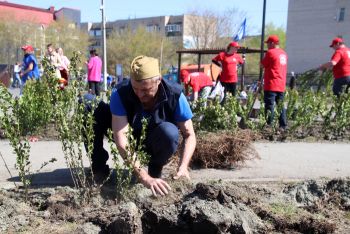 В городском сквере Еманжелинска продолжается масштабное озеленение