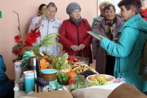 В честь Дня поселка зауральцы организовали выставку плодов, овощей, блюд  и рукоделий