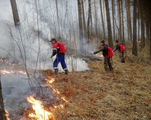 В Челябинской области сохраняется высокий – 4-й – класс пожарной опасности