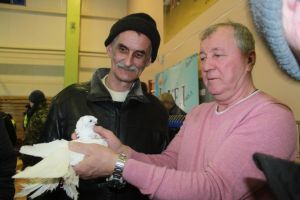 Около 500 птиц привезли голубеводы Челябинской и Оренбургской областей на традиционную выставку, организованную в Красногорском Еманжелинского района