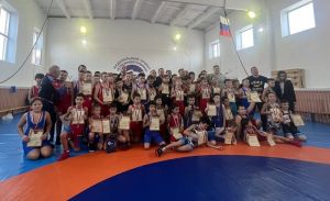 Юные борцы Еманжелинского района отметились медалями на открытом турнире в Красногорском