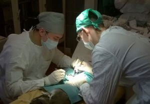 Учебная операция, Чингис Сарсенов слева
