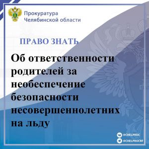 Прокуратура Челябинской области: главной причиной гибели детей на водных объектах в период ледообразования является отсутствие родительского контроля